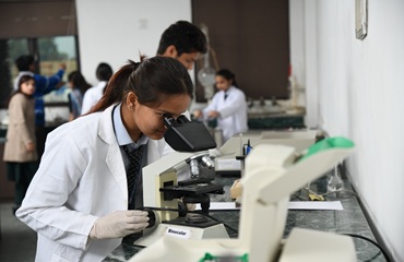 portfolio image template